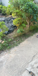 HIẾM... CHÍNH CHỦ CẦN BÁN ĐẤT TƯ ĐÌNH, LONG BIÊN. 46M. 4 TỶ